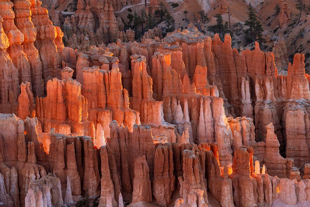 Sunrise at Bryce Canyon National Park, Utah